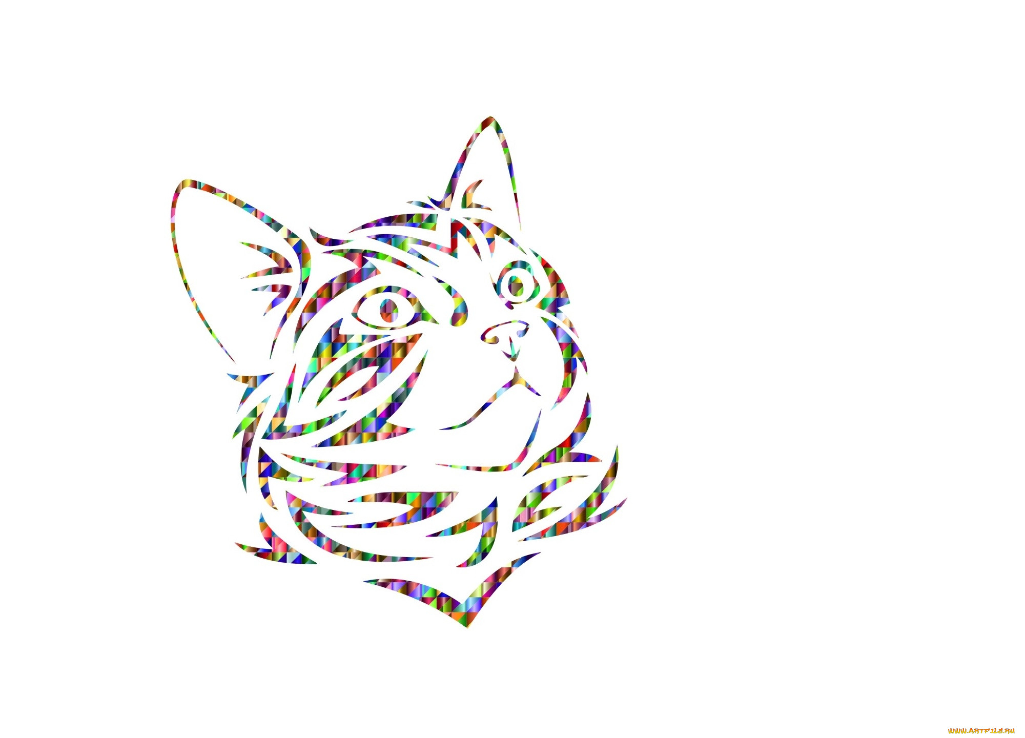 ,  , animals, , 